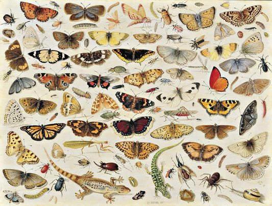 Jan Van Kessel Butterflies Wooden Jigsaw Puzzle