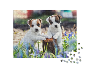Two White Puppy Jack Russell Terrier Standing on Tree