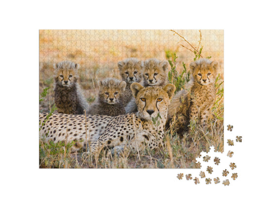 Mother Cheetah & Her Cubs in the Savannah. Kenya