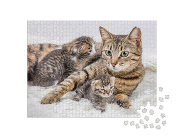 Mom Mother Cat & Baby Cat Kitten